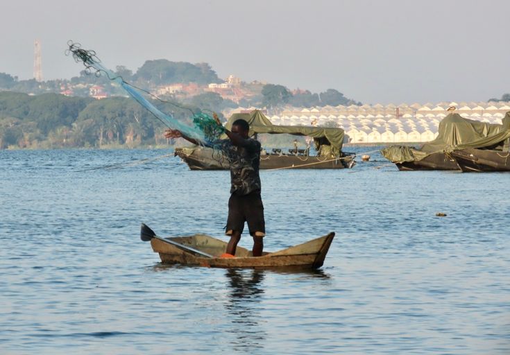 A local Ugandan fisherman standing in a wooden canoe casting a fishing net on Lake Victoria, Entebbe, during a cultural heritage tour with Roadrave Tours and Travel.