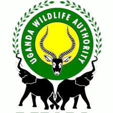 UWA logo for Uganda Wildlife Authority, managing Murchison Falls, Queen Elizabeth, and Bwindi Impenetrable National Park tours by roadrave tours and travel