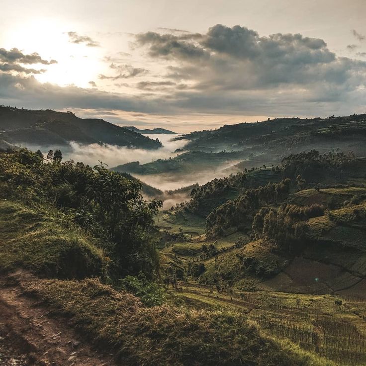 Sunrise over Uganda highlands with misty valleys, lush green vegetation, and golden light on rolling hills, in Bwindi impenetrable national parkcaptured by Roadrave Tours and Travel showcasing breathtaking African landscape beauty.