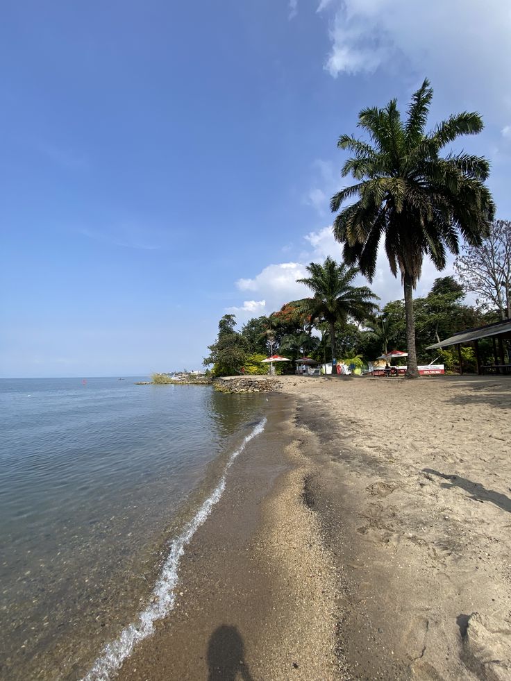 Peaceful sandy shoreline of Lake Kivu with calm waves, tall palm trees, and clear blue skies, captured during a Rordrave Tours and Travel lakeside retreat in Rwanda.
