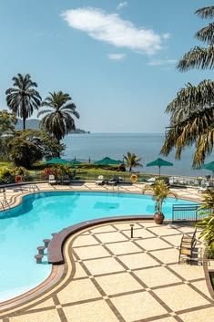 Elegant outdoor swimming pool overlooking Lake Kivu with palm trees, clear blue water, and sunny skies, captured during a Rordrave Tours and Travel luxury lakeside getaway in Rwanda.