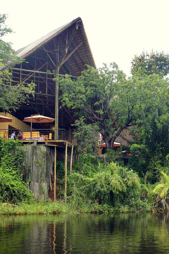 Chobe Safari Lodge exterior elevated wooden dining deck overlooking lush riverbank vegetation - Road Rave Tours